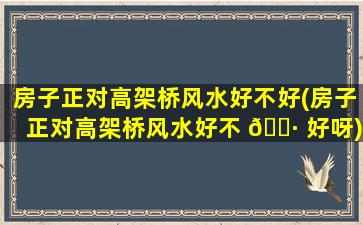 房子正对高架桥风水好不好(房子正对高架桥风水好不 🌷 好呀)